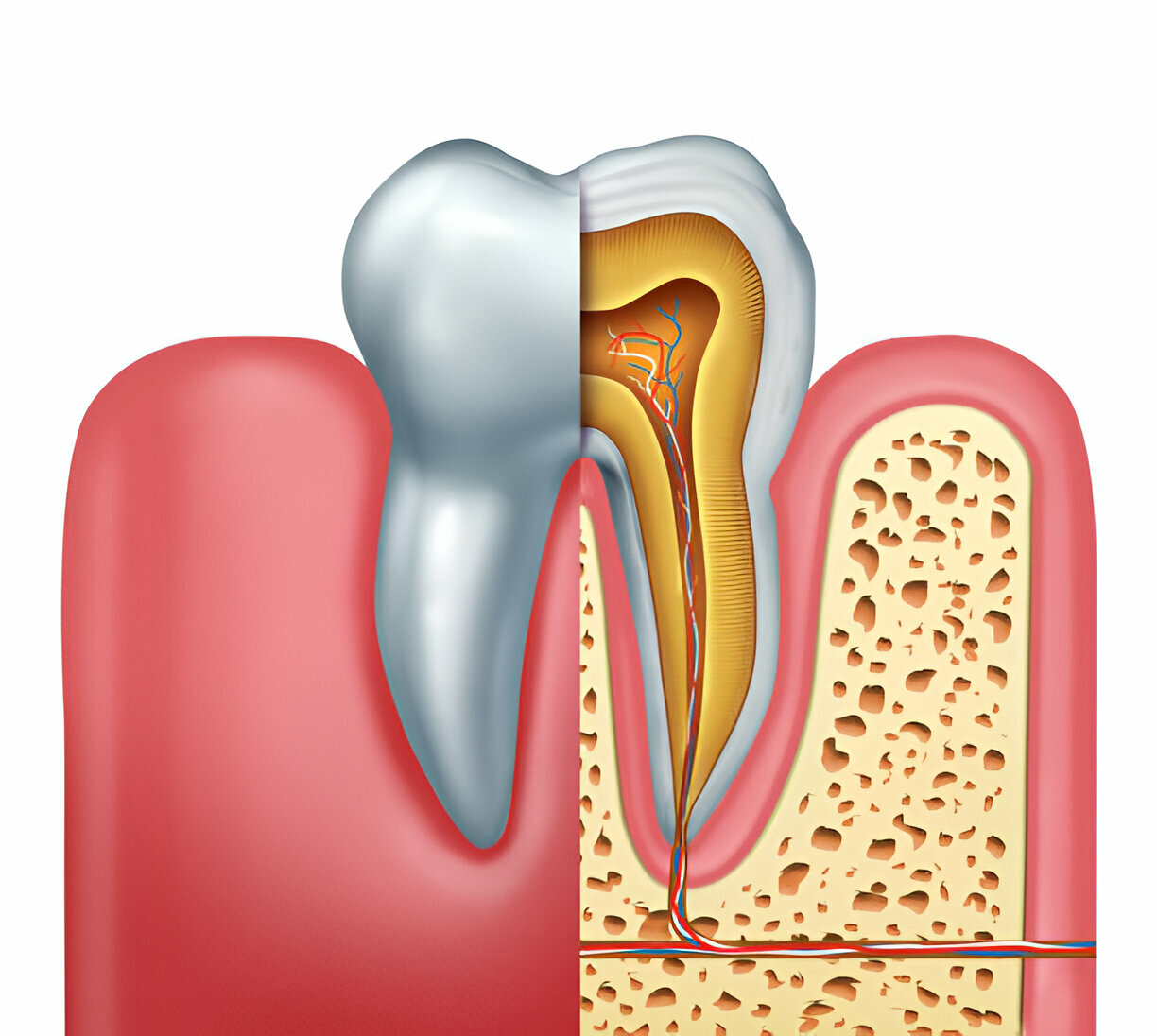 Step-by-Step Guide to Root Canal Therapy with Your Trusted Tupelo, MS Dentist at Main Street Dentistry_FI
